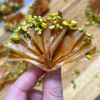 מניפות פיסטוק