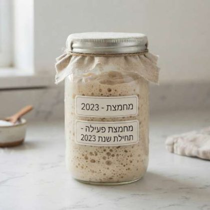 המדריך המלא להכנת מחמצת